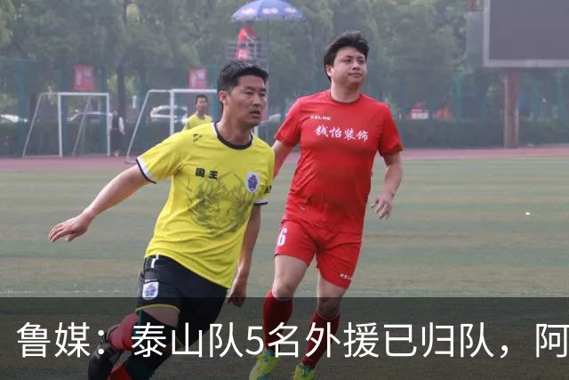 鲁媒：泰山队5名外援已归队，阿尔瓦罗6月份复出难度比较大